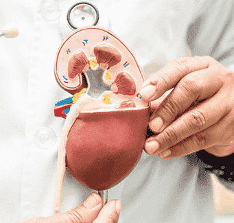 Kidney Failure Ayurveda Treatment